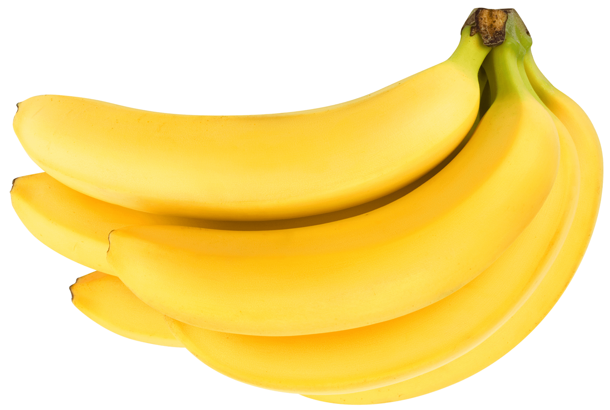 5a1c0c1917e116.3548668415117875450978